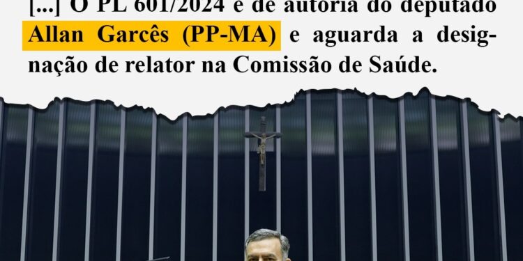 Projeto de Lei de autoria do deputado Allan Garcês propõe Dia Nacional