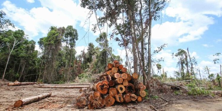 Ministro do Meio Ambiente fala sobre desmatamento na Amazônia na quarta