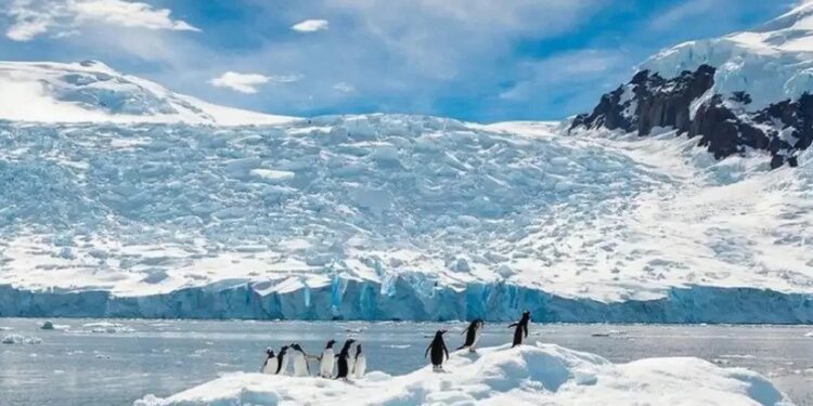 Antártica: Brasil está há 40 anos no continente gelado, e agora de casa nova