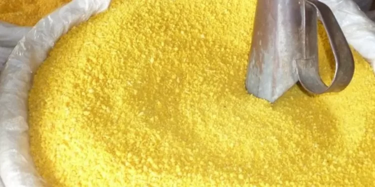1º Concurso da Melhor Farinha d’Água do Maranhão será realizado em São Luís; saiba como participar